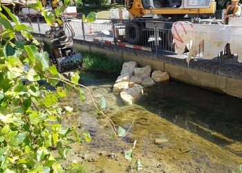 Travaux (août 2019) - Création d’épis en enrochement