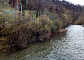 Etat initial (novembre 2020) – vue en direction de l’amont depuis la route communale