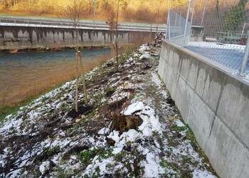 Etat réalisé (décembre 2022) – plantations aux abords de l’étanchéité (mur en béton) nouvellement construite