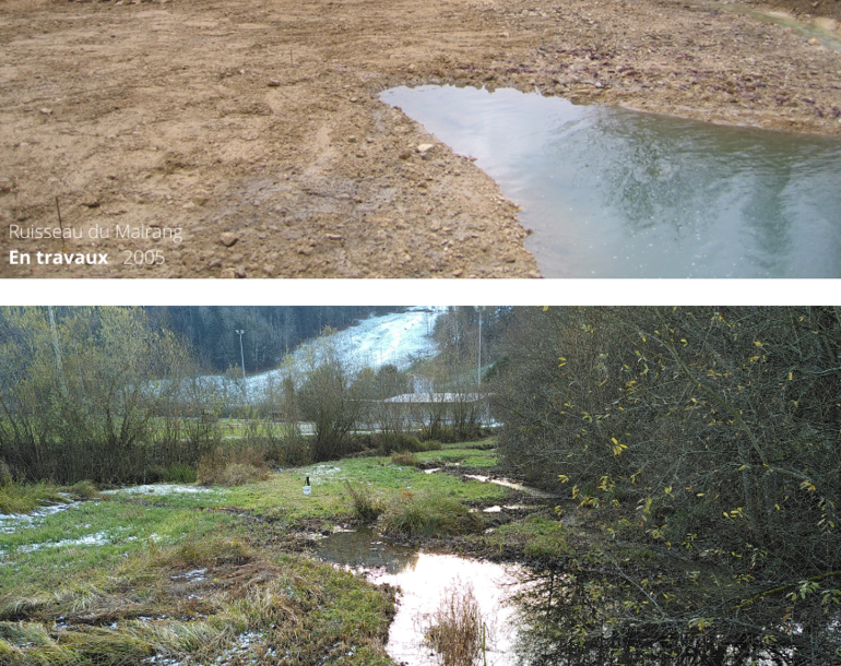 Contrôle des effets des revitalisations de cours d’eau