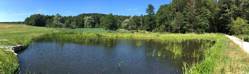 Vue d’ensemble de l’étang aval