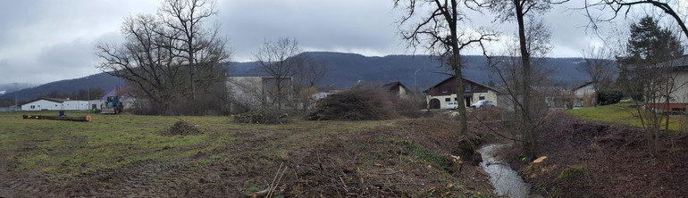 Après les travaux d’abattage