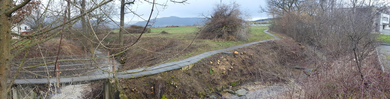 Travaux d’abattage effectués dans la future zone dédiée à la biodiversité