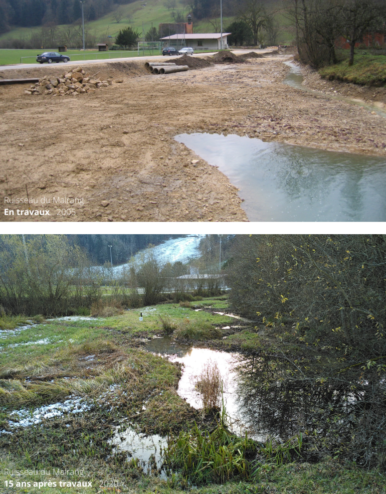 Contrôle des effets APPROFONDI sur le ruisseau du Malrang à St-Ursanne (JU).