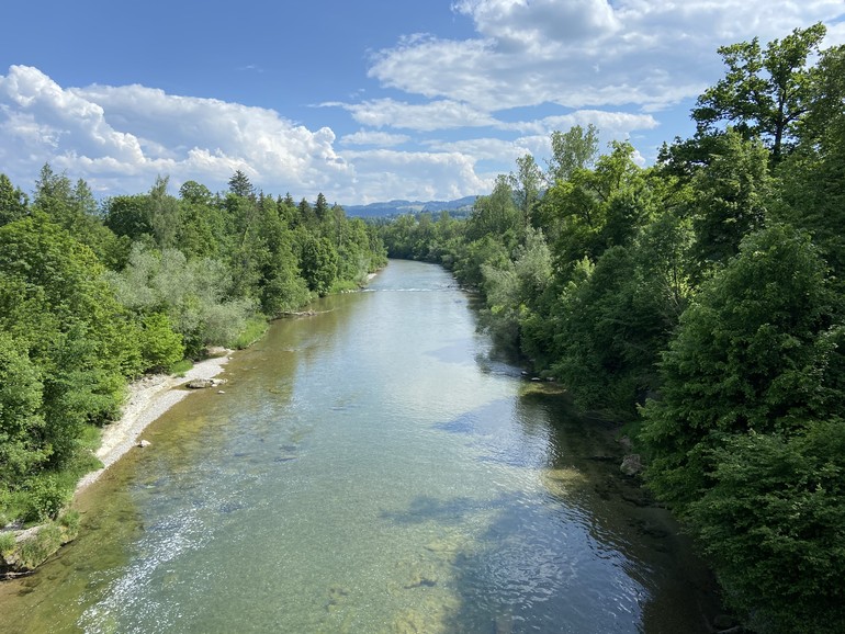 Vue générale de la zone alluviale