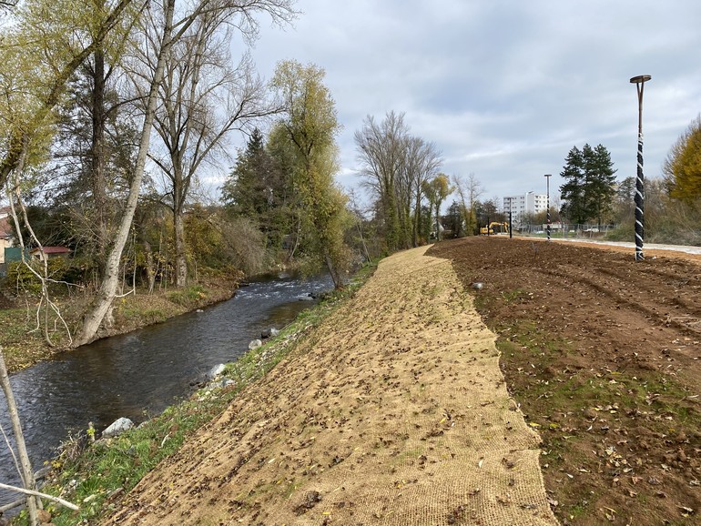 Travaux (novembre 2021) - Travaux de végétalisation en cours