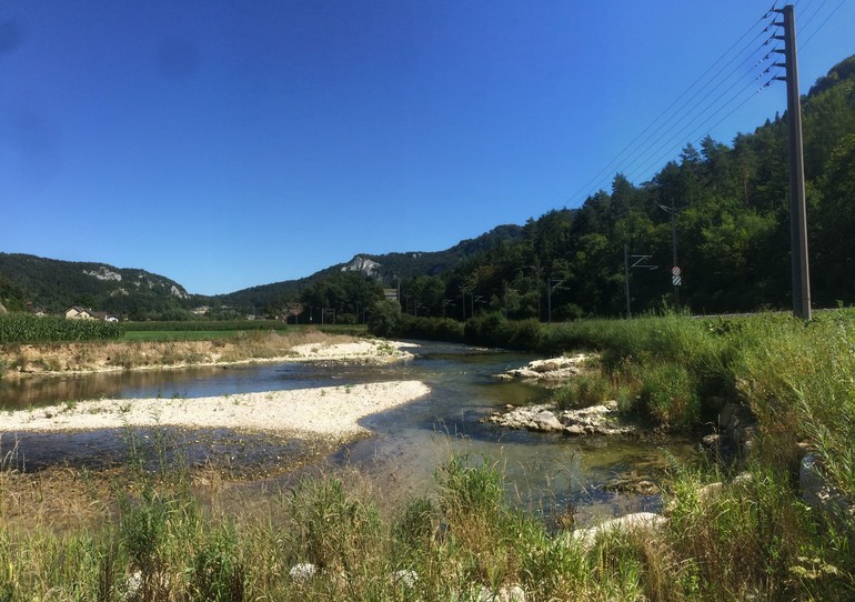 Etat réalisé (août 2016) - Morphologie de la Birse 6 mois après les travaux
