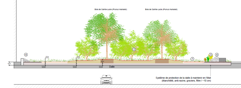 Le projet prévoit la création d’une prairie fleurie avec un bosquet buissonnant et des microstructures de type murgiers (projet d’ouvrage).