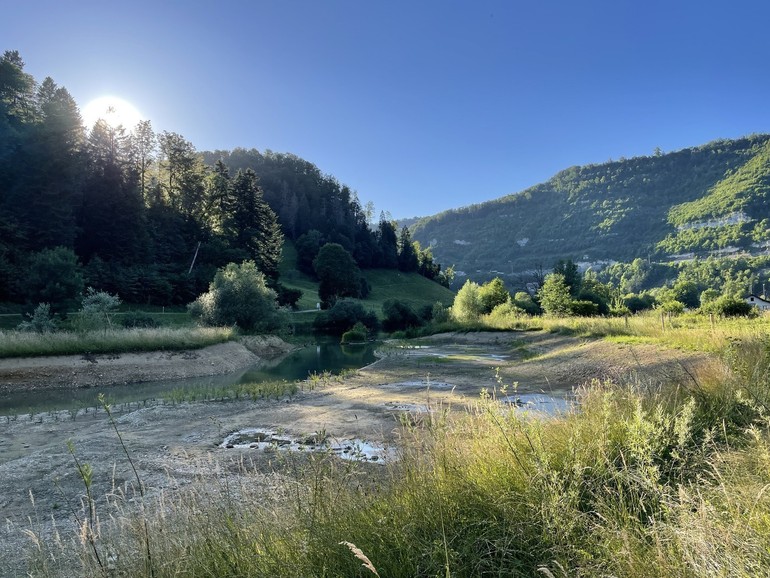 Etat réalisé (juin 2022) – 10 mois après les travaux, la végétation commence à bien se développer. Les boutures sur la zone alluviale du bras mort ont bien supporté la sécheresse et se développent rapidement. 