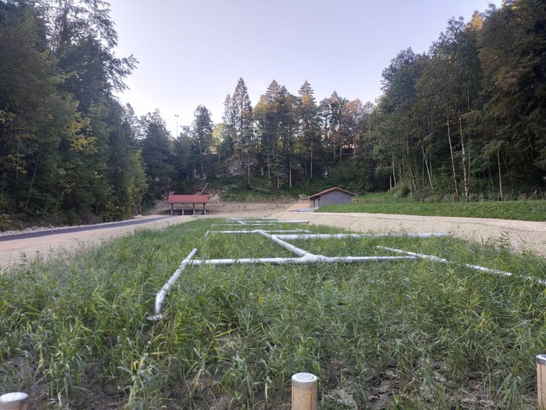 Etat réalisé (septembre 2023) – Développement des roseaux 3 mois après plantation (filtre supérieur n°1). La SNEP est désormais en fonction