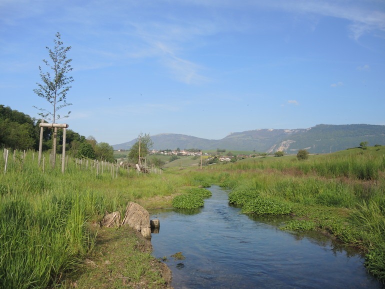 Etat 1 an après travaux (mai 2022) – Après les travaux, le cours d’eau a retrouvé son caractère dans un espace cours d’eau élargi.