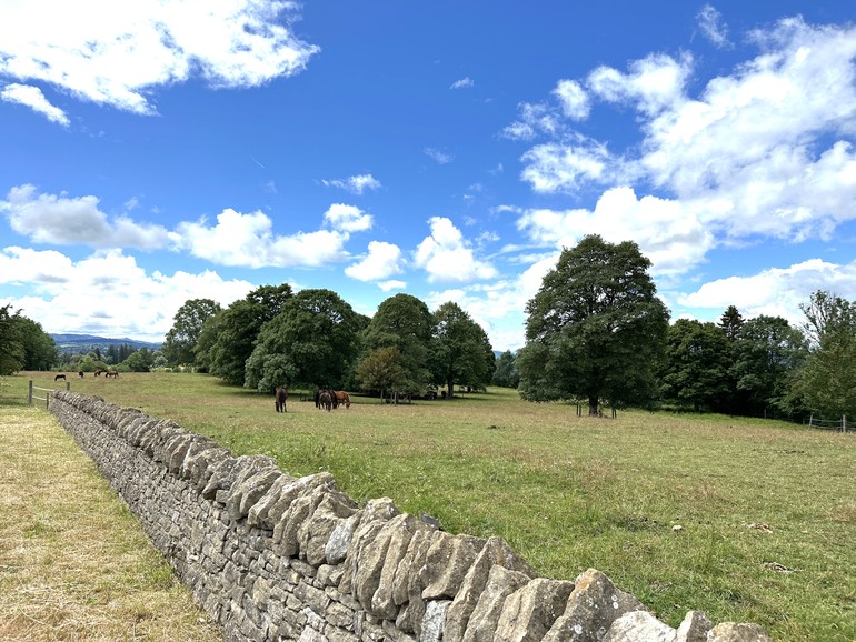 Les murs de pierres sèches sont des éléments du patrimoine bâti et culturel important de certaines communes (Les Bois)