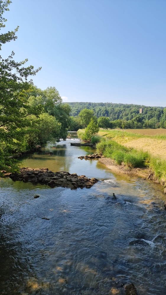 Etat réalisé (juin 2023) – Vue amont du secteur d’intervention : amélioration de la morphologie et réaménagement des épis.