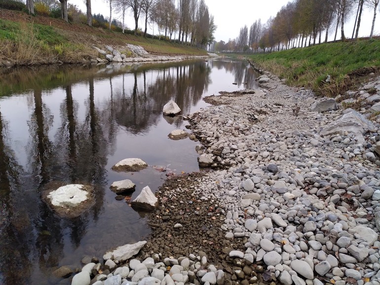 Travaux (novembre 2024) – Zone de dépôt à proximité du replat inondable en rive droite