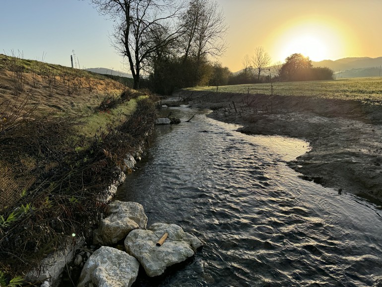 Etat réalisé (novembre 2024) - Stabilisation du pied de berge à l’aide d’enrochements et végétalisation de la berge à l’aide de deux étages de lits de plants et plançons et de plantation d’arbustes.