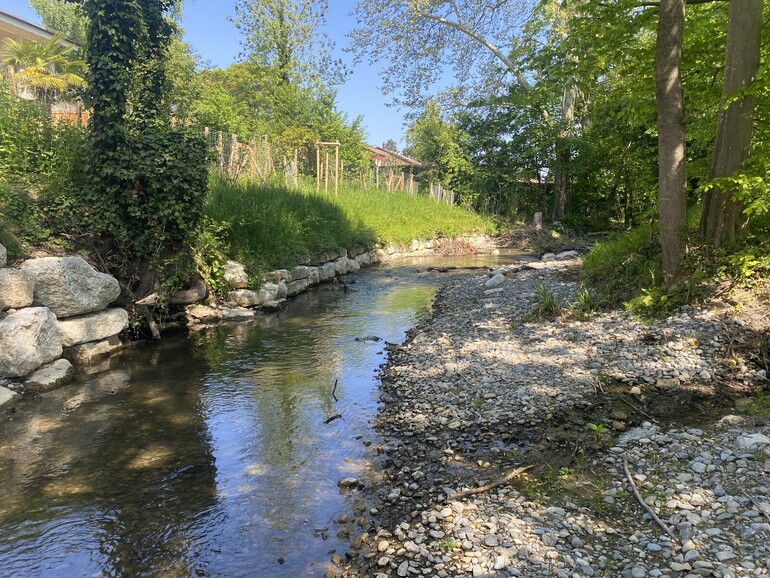 Etat réalisé (avril 2025) – 6 mois après la fin des travaux. Resserrement du lit mineur, assainissement des berges et stabilisation en technique mixte pour protéger les habitations adjacentes.