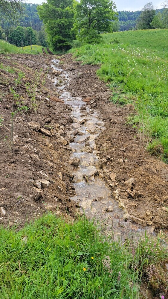 Travaux (mai 2025) – Mise en forme du nouveau lit