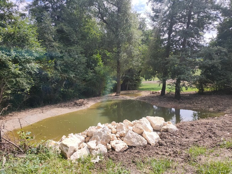 Etat réalisé (août 2025) – Mares et murgier au bord du ruisseau de la Betteratte à Develier