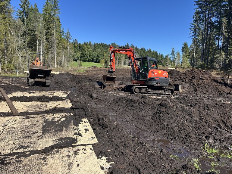 Travaux (septembre 2025) – Comblement du drain entre et sur les palissades avec de la tourbe prélevée dans le cadre des travaux des fosses délimitées pour n’exercer aucune influence sur le fonctionnement hydrologique du marais.