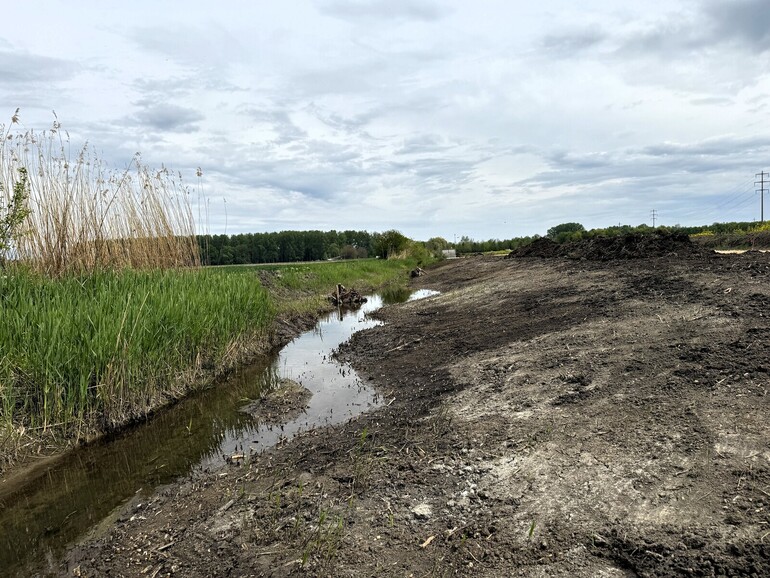 Travaux (avril 2026) – Terrassement de la berge droite en pente douce et aménagement de mesures de diversification du lit (secteur amont).