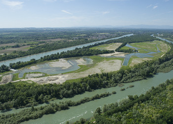 Le Rhin à Kembs 