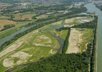 Le Rhin à Kembs