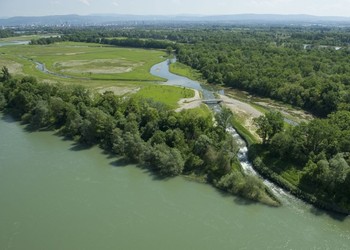 Le Rhin à Kembs