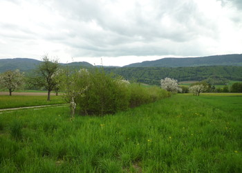 Vue d'un secteur du réseau