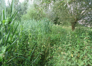Etat avant travaux