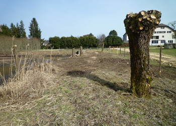 Juste après travaux