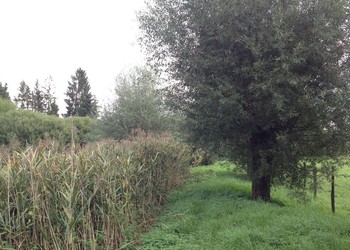 Etat 6 mois après travaux