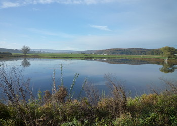 Etang n°1, six mois après la mise en eau (27.10.10)