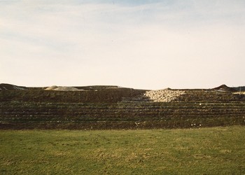 Front de la décharge, avec zone pierreuse pour les reptiles (10.02.91)