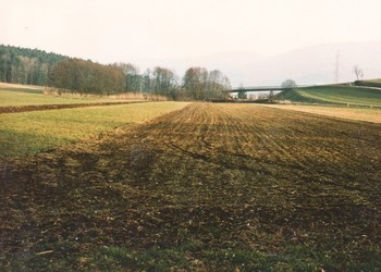 Etat initial du secteur avant la création de la zone humide. Les cultures prédominent (février 1993)