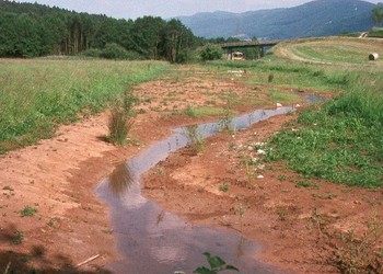 Développement de la végétation implantée ou spontanée et vue générale (juin 1993).