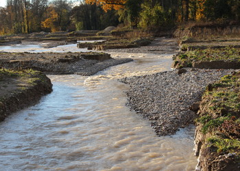 Divsersité morphologique créée par la rivière elle-même