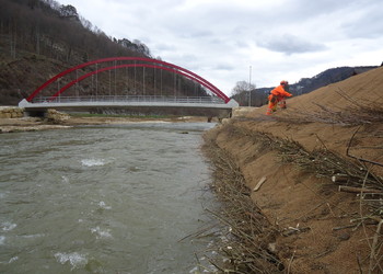 Travaux de génie biologique sur berge