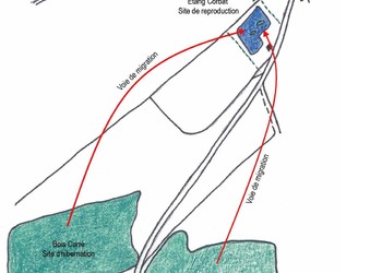 Situation initiale (avant A16)