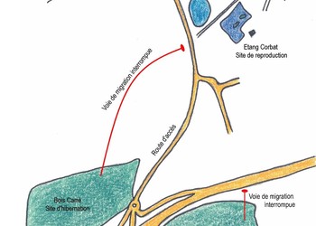 Impacts du nouveau réseau routier