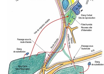 Projet avec barrières permanentes, passages et sites de substitution