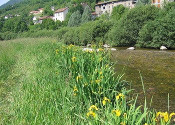 Vue du cours d‘eau recréé et des abords, quelques 8 ans après travaux (juin 2006)