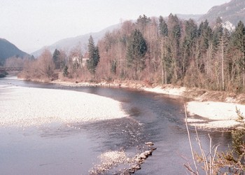 Etat initial de la berge érodée, avec au centre du lit d‘anciens enrochements de protection de la berge droite (mars 1996)