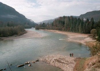 Epis et ouvrages de protection de berge après achèvement des travaux (novembre 1997)