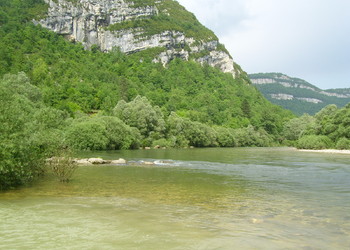 Stabilisation de berges