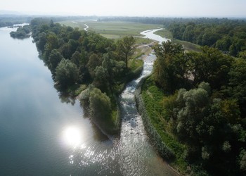 50 hectares ensemencés et 150‘000 arbres et arbustes plantés