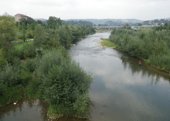 Stabilisation de berges