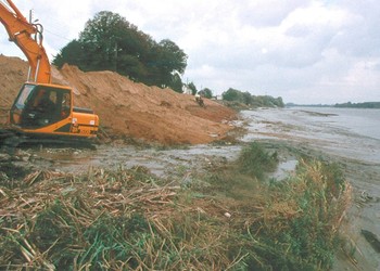 Remise en forme du talus riverain après élimination des mauvais matériaux de remblai et foyers de Renouée du Japon qui préexistaient (Novembre 1997) 