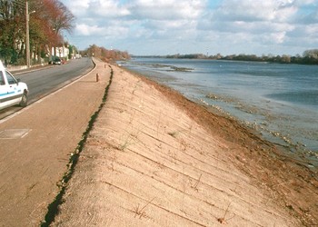 Achèvement de travaux de restauration au moyen de techniques issues du génie végétal (Décembre 1998) 
