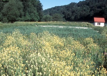 Vue générale de la SNEP et du 1er étage, une année après la mise en service (26.05.04)