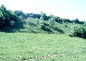 Aménagement de carrières/décharges